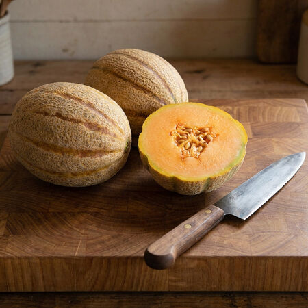 Hannah's Choice, (F1) Melon Seeds image number null